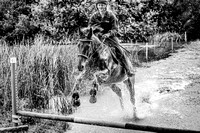 IMG_0031-2