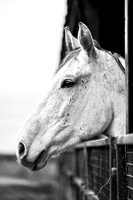 IMG_5394