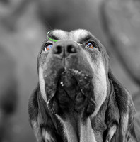 IMG_4568-Edit
